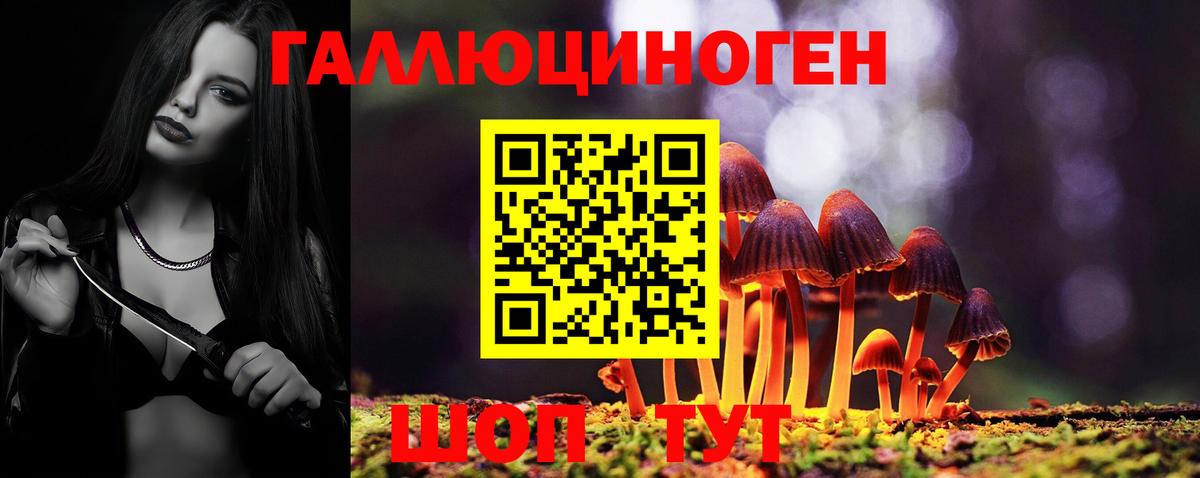 Галлюциногенные грибы ЛСД Вязники