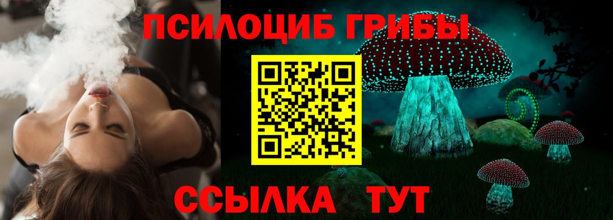 Вязники  Псилоцибиновые грибы GOLDEN TEACHER  Вход с VPN  Галлюциногенные грибы MAGIC MUSHROOMS 
